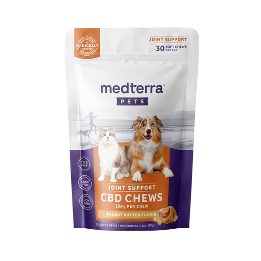 Front view of a Medterra package featuring Pet CBD Joint Support Chews for dogs and cats. The bag is purple and white, displaying a brown and white dog with a grey and white cat. Text highlights peanut butter flavor, 10mg CBD per chew, and glucosamine for your pet’s joint health.
